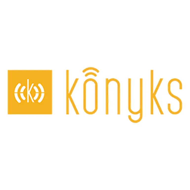 Konyks