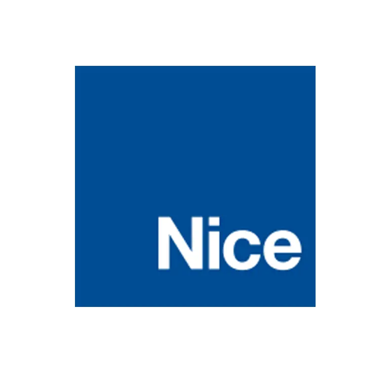 Nice