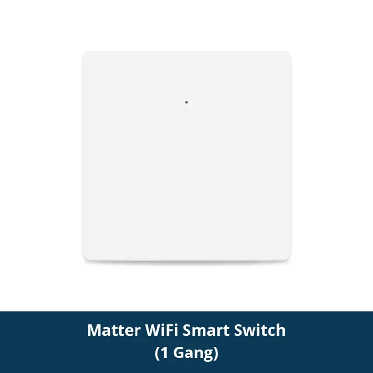 Zemismart Matter over WiFi EU Smart Wall Light Switch 1-Gang ZM106-1