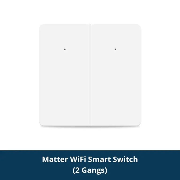 Zemismart Matter over WiFi EU Smart Wall Light Switch 2-Gang ZM106-2