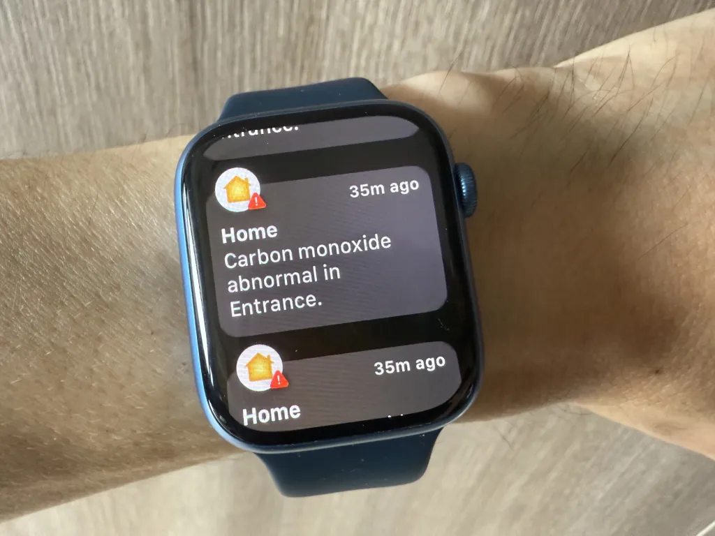 Apple Home critical notifications on Apple Watch
